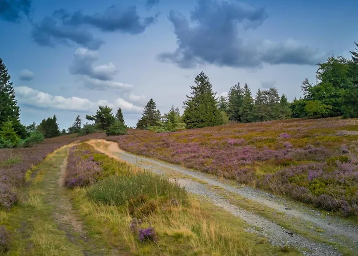 Maisonette-wohnung Mit See-& Bergblick, Sauna Apartamento Winterberg